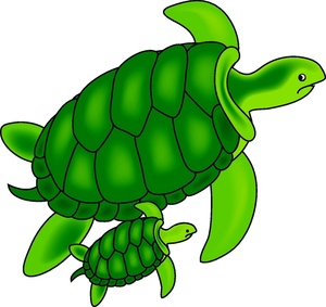 Turtle Clip Art Black And White - Free Clipart Images