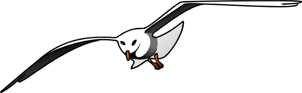 Seagull Template - ClipArt Best