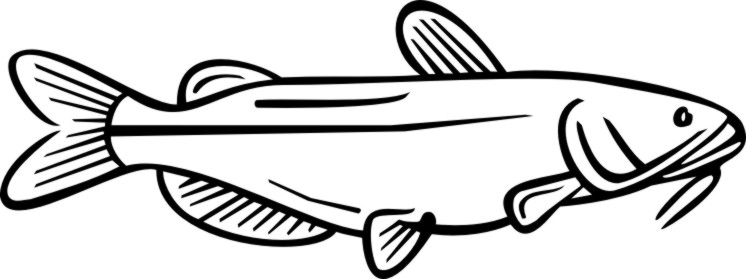 Fish : Custom Vinyl Stickers Decals, for Cars