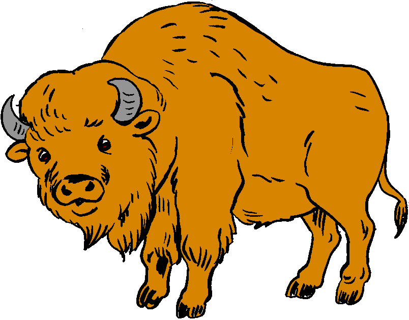 Bison Cartoon Clipart