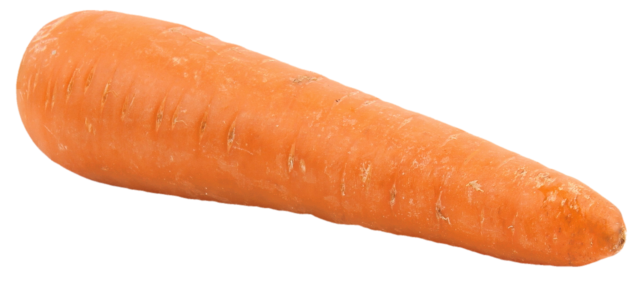 Carrot PNG Images - PngPix