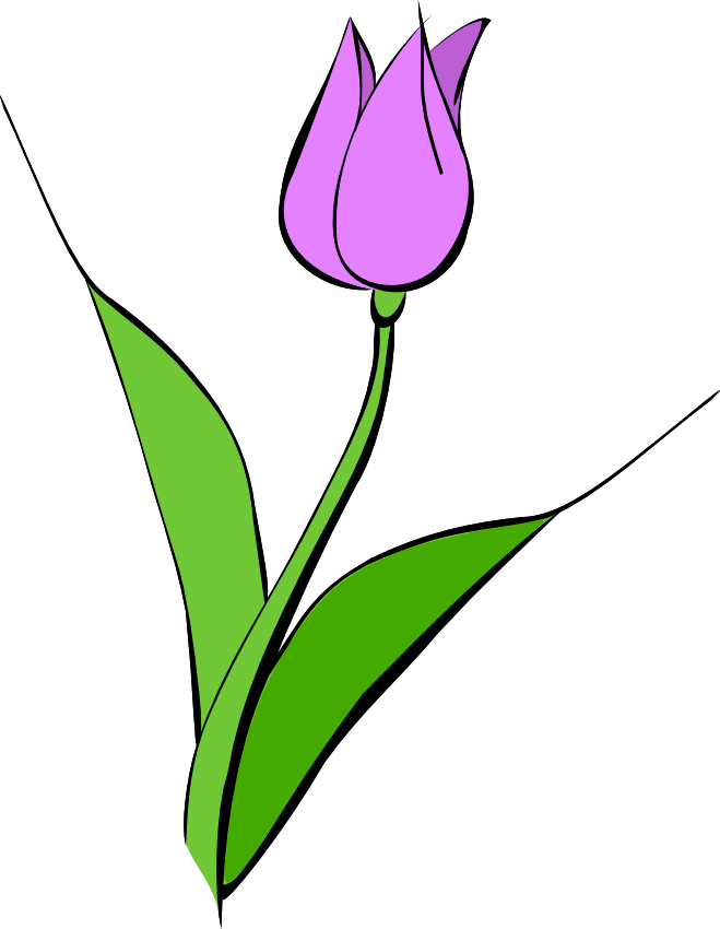 Tulip Border Clipart