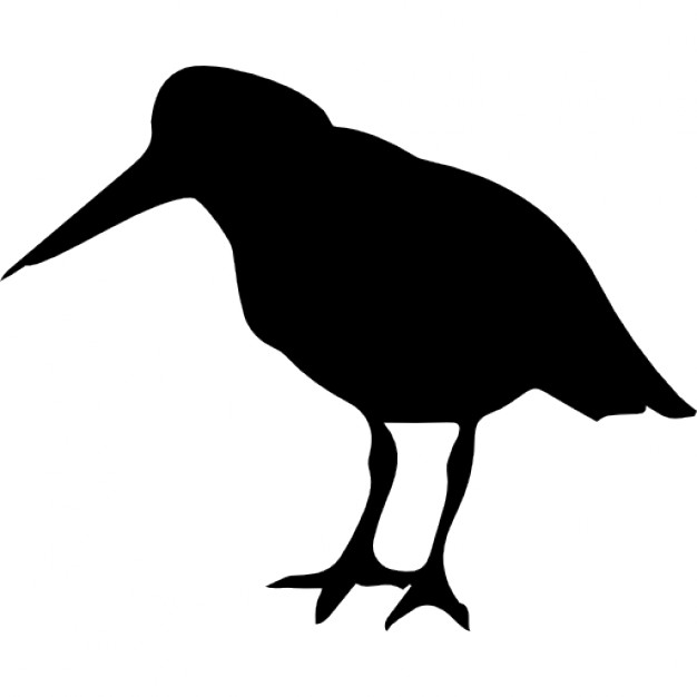 Oystercatcher bird of coasts silhouette Icons | Free Download
