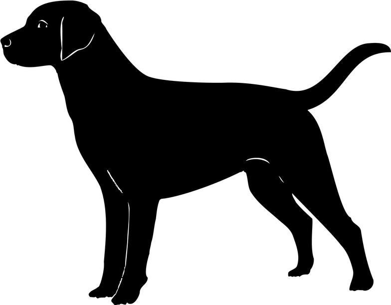 Black lab dog clipart