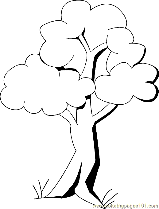 Download Colouring Pages Of Tree | GuthrieMedia