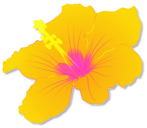 Hawaii Yellow Hibiscus Flower - ClipArt Best