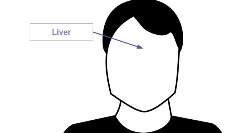 Chinese Face Map Reveals Internal Body Issues From Pimples And ...