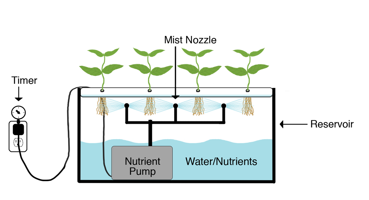 Aeroponics - Grow Systems