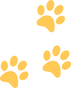 gold-paw-md.png