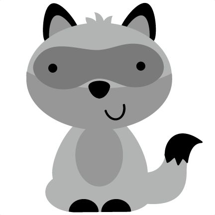 Baby raccoon, Clip art and Pictures