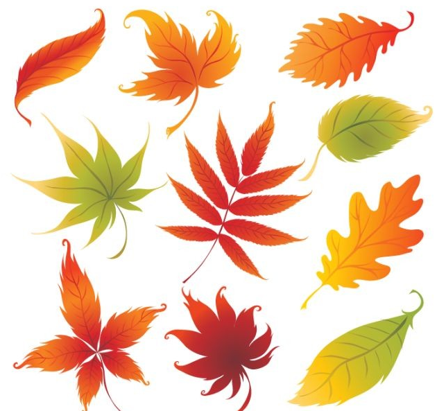 Autumn Leaves Graphics