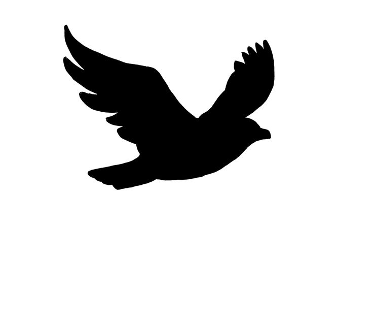 Bird in flight silhouette clipart