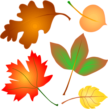 Cartoon Autumn Leaves - ClipArt Best