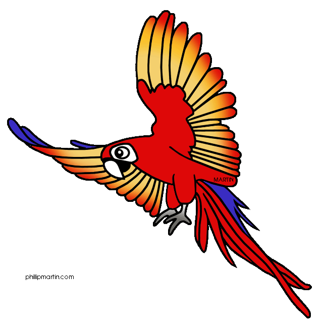 Macaw clip art