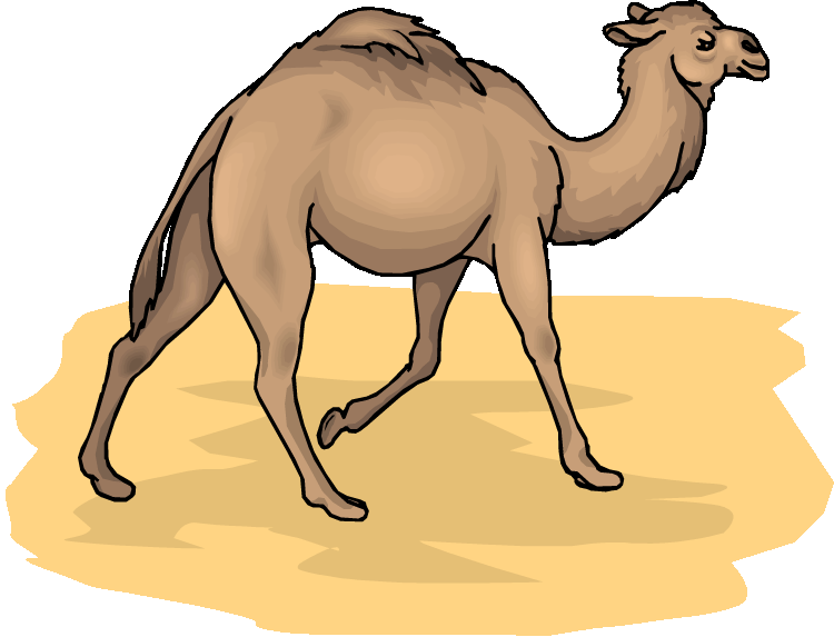 Camel clipart image clip art image of a camel walking with the ...