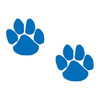 Two Blue Paws Temporary Tattoo