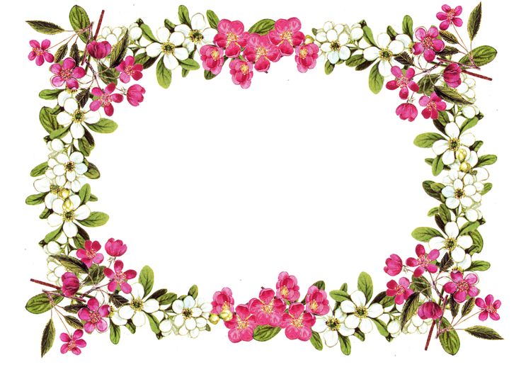 Pink Flower Frame - ClipArt Best