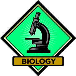 Biology Clipart | Free Download Clip Art | Free Clip Art | on ...