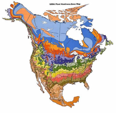 USDA Hardiness Zone Map and Chart