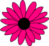 Gerbera - vector clip art online, royalty free & public domain