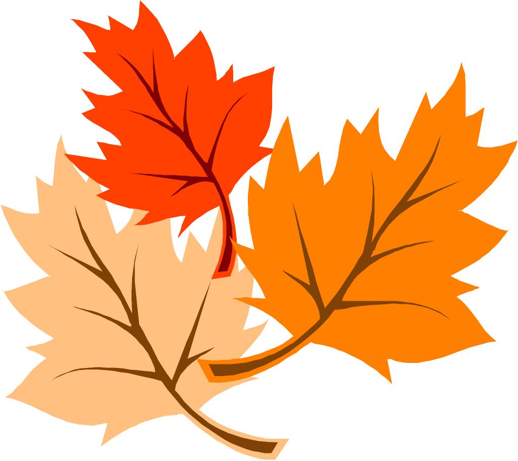 Autumn Leaves Graphics Clipart