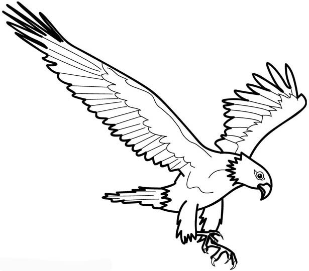 eagle arpia Colouring Pages