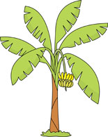 Banana Tree - ClipArt Best
