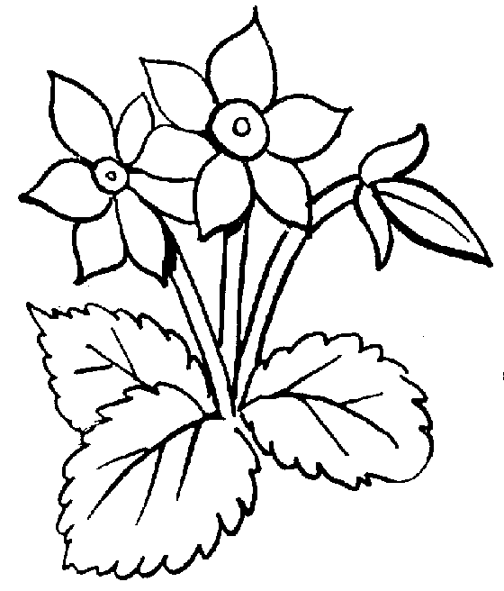 Clipart Flower Black And White - Free Clipart Images