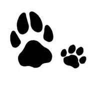 Tattoo :) | Paw Print Tattoos, Paw Prints and Horse Tatt…