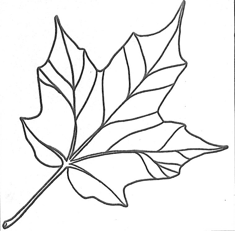 Maple Leaf Coloring Pages - AZ Coloring Pages