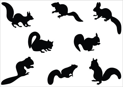 Squirrel Silhouette Vector - Free Clipart Images