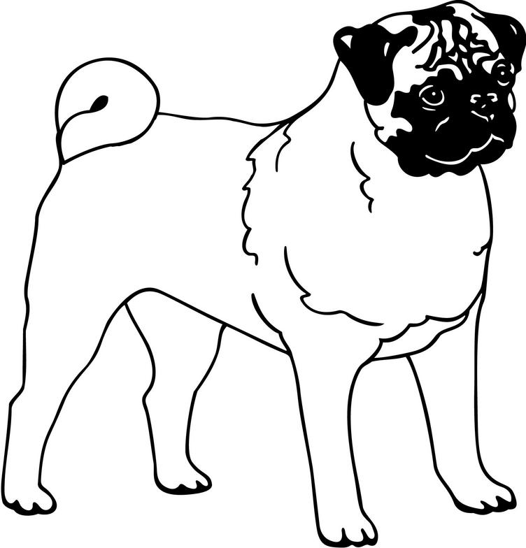 Pug Clip Art