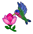 Hummingbird Clip Art