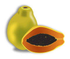 papaya_preview