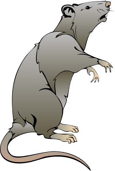 Free to Use & Public Domain Rat Clip Art