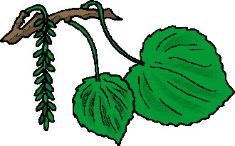 Leaves Clip Art