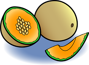 Clip Art Melon