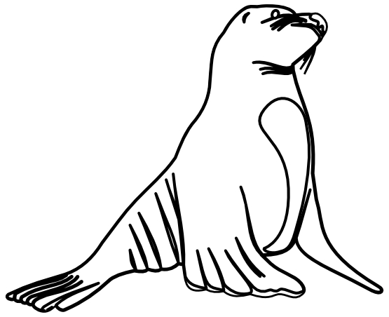 valessiobrito Sea Lion 1 black white line art ...