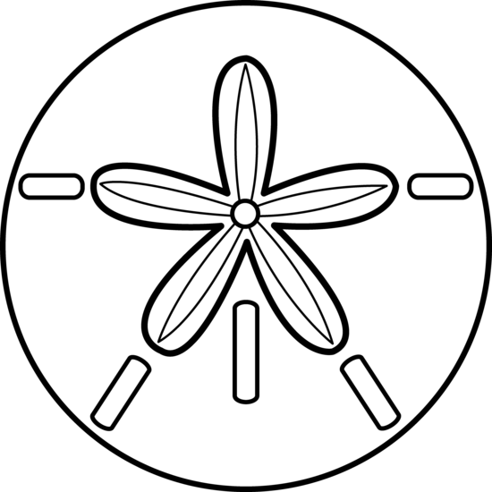 Sand Dollar Clip Art