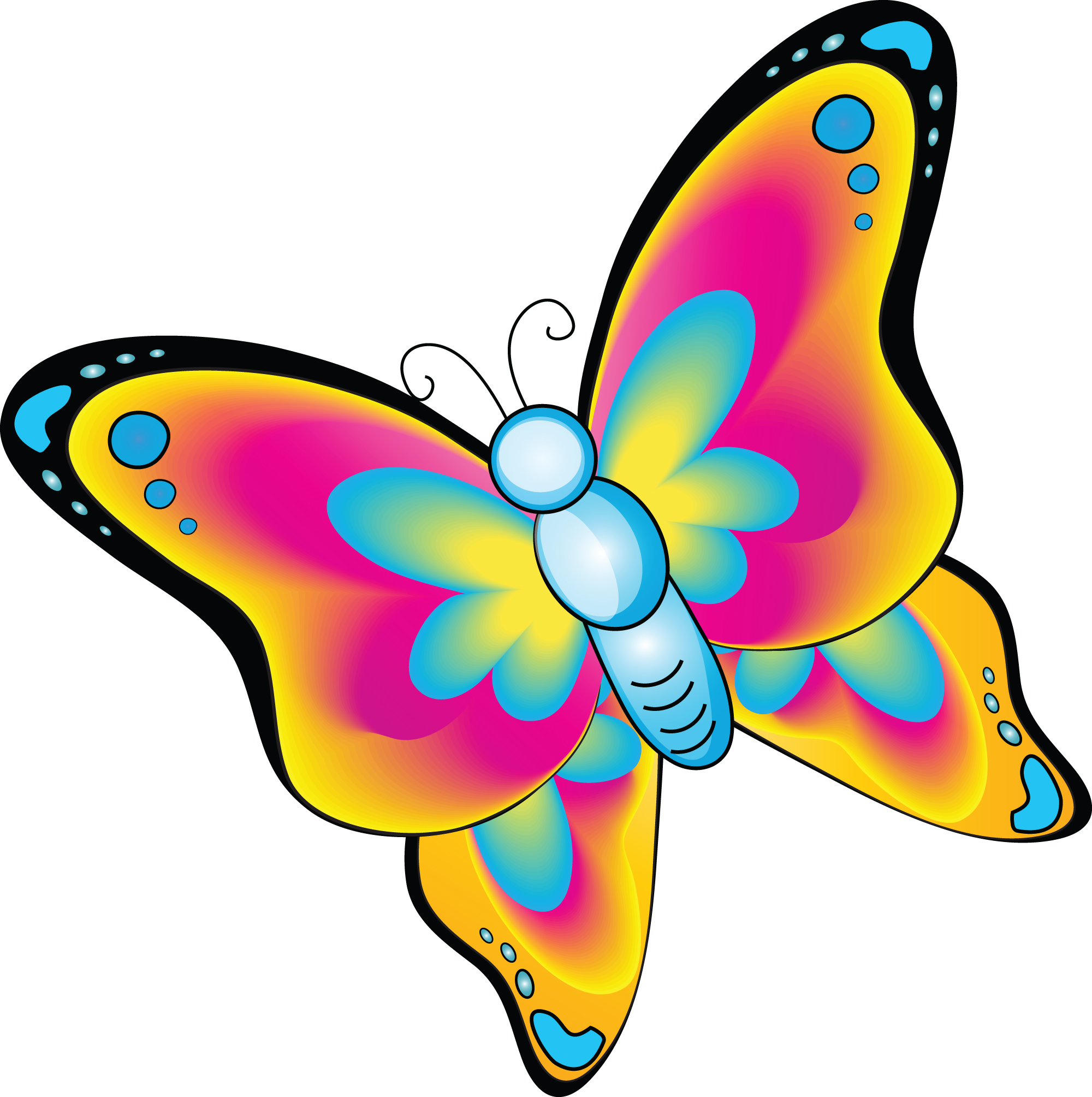 Cartoon butterfly clipart