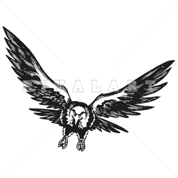 Soaring Eagle Clipart - Free Clipart Images