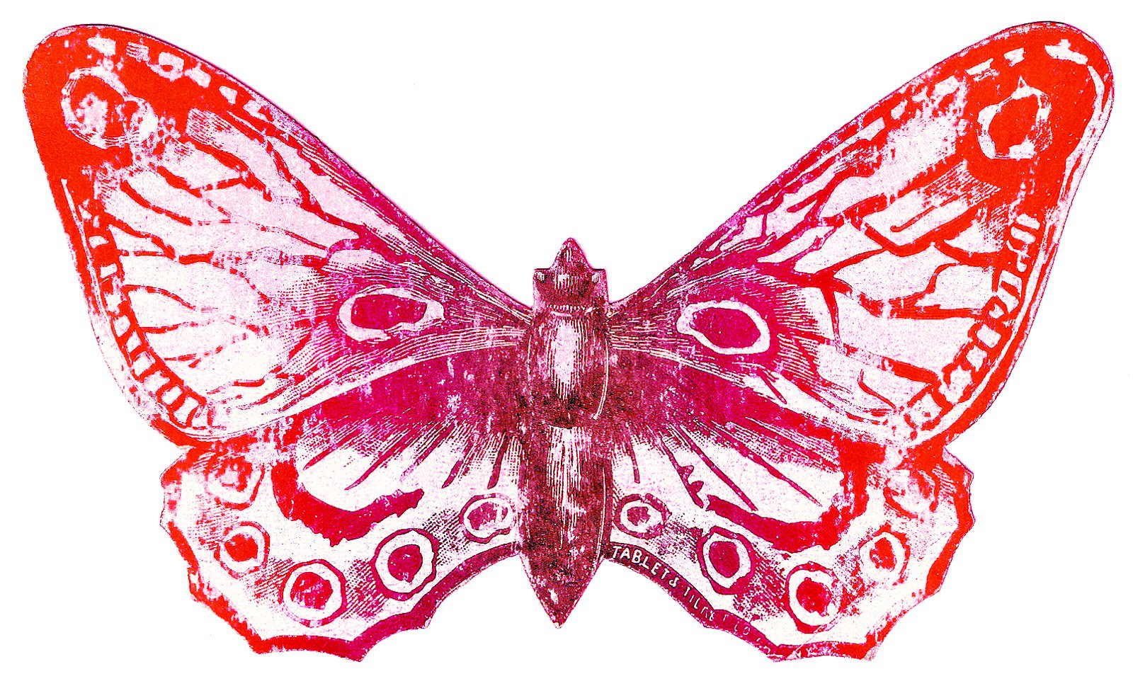 Butterfly vintage clipart