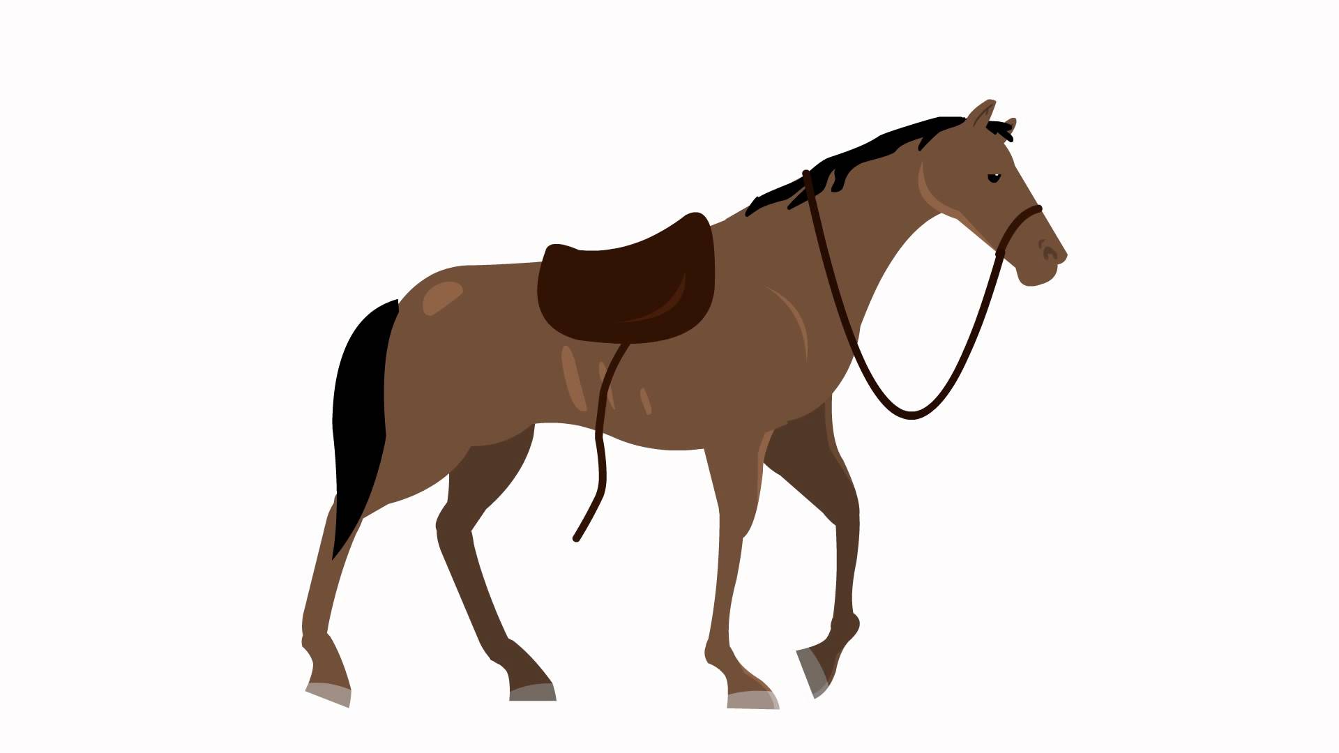 horse walk cycle animation - YouTube