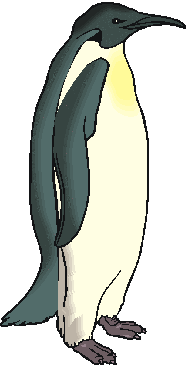 Emperor Penguin Clipart