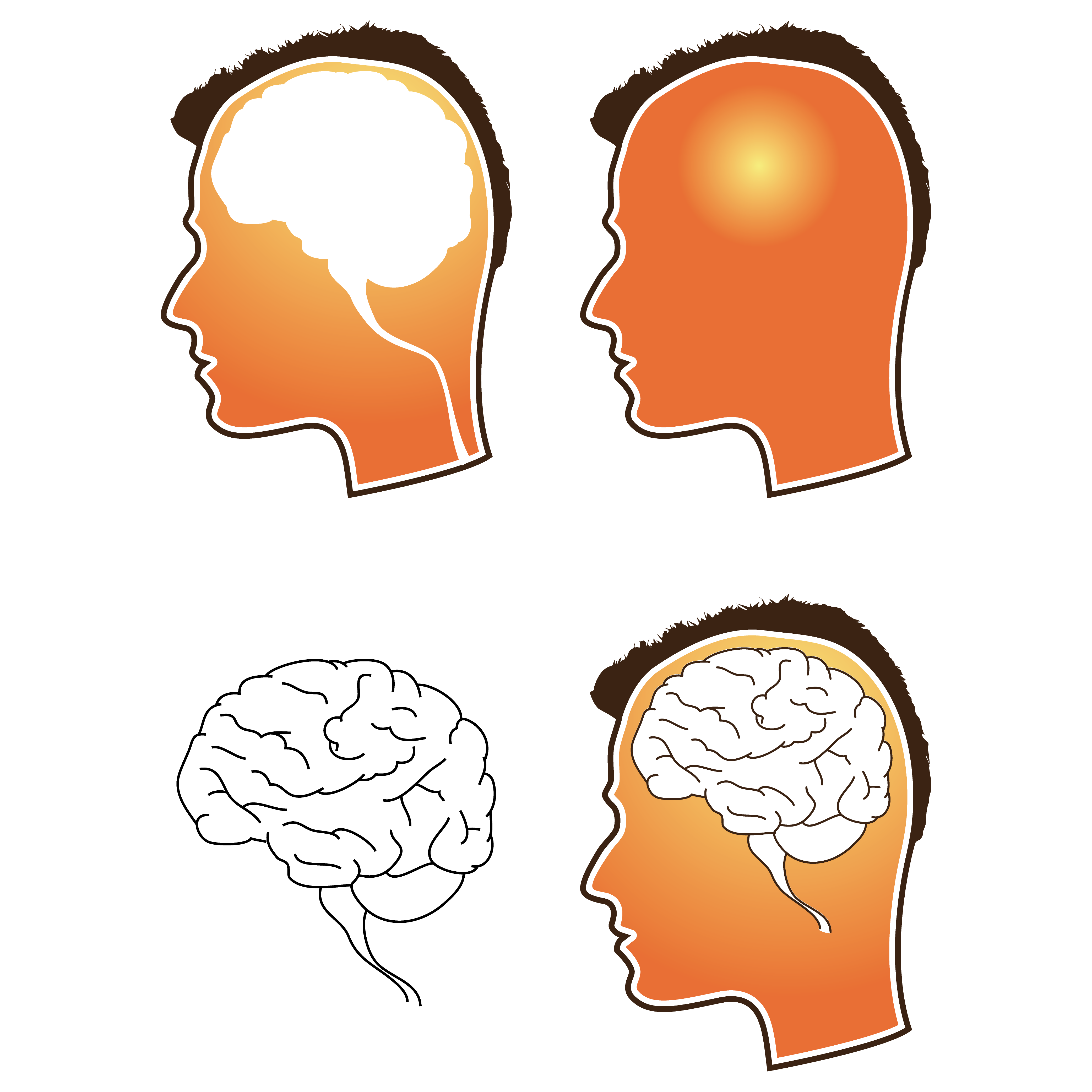 Human Brain Vector Free Vector / 4Vector