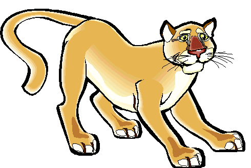 Cougar Cartoon