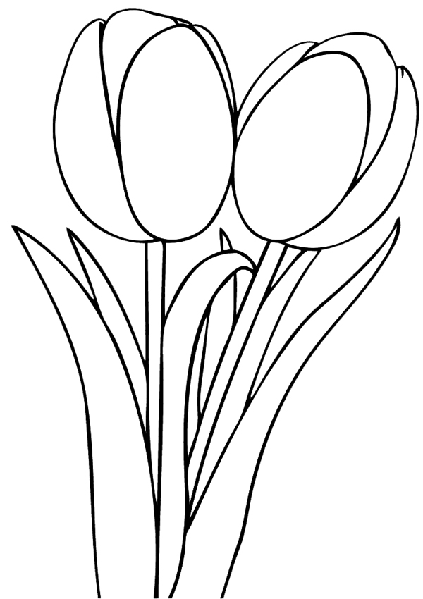 Tulip Coloring Pages for Kids – Barriee