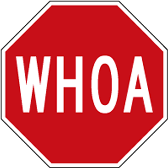 Buy WHOA Stop Sign from STOPSignsAndMore.com