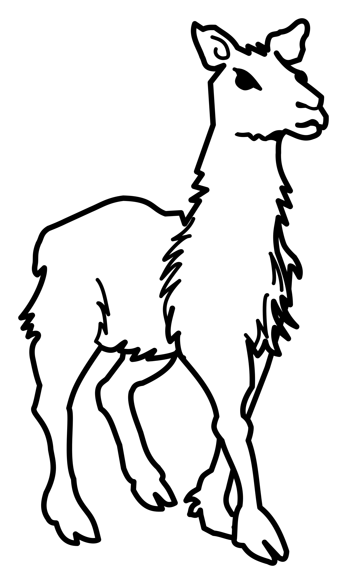 Llama Clipart - 55 cliparts