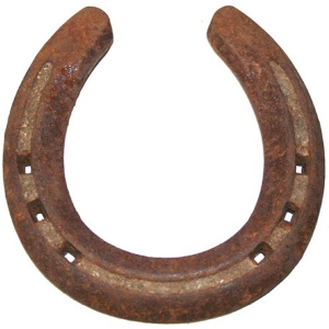 Medium Horse Shoe - Irish Horse Shoes